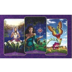 Magic of Flowers Oracle by Tess Whitehurst