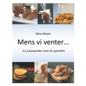 Mens vi venter - En julekalender af Stine Meyer