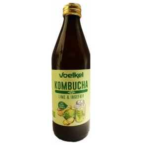 Kombucha lime-ingefr ko Voelkel, ink.pant