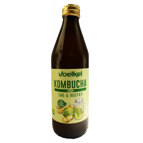 Kombucha lime-ingefr ko Voelkel, ink.pant