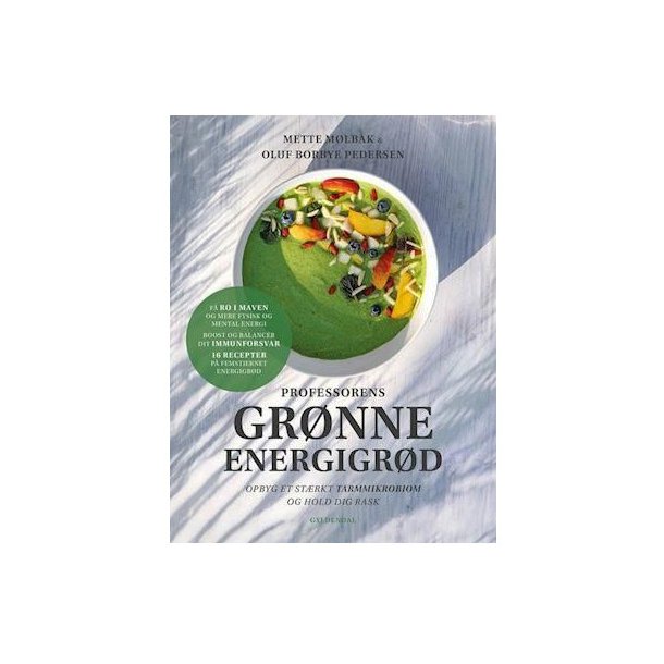 Proffessorens grnne energigrd