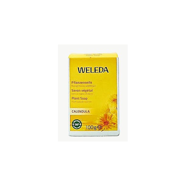 Calendula plantes�be Weleda