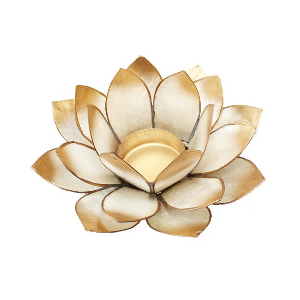 Lotus stage Chakra 7 White