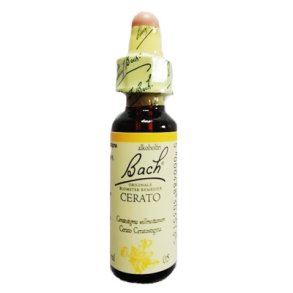 Bach Cerato Ceratostigma