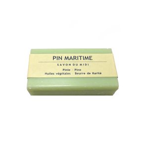 Fyrretr sbe (Pin martime) Midi fra Frankrig